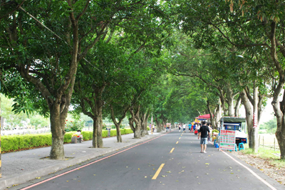 古坑綠色隧道