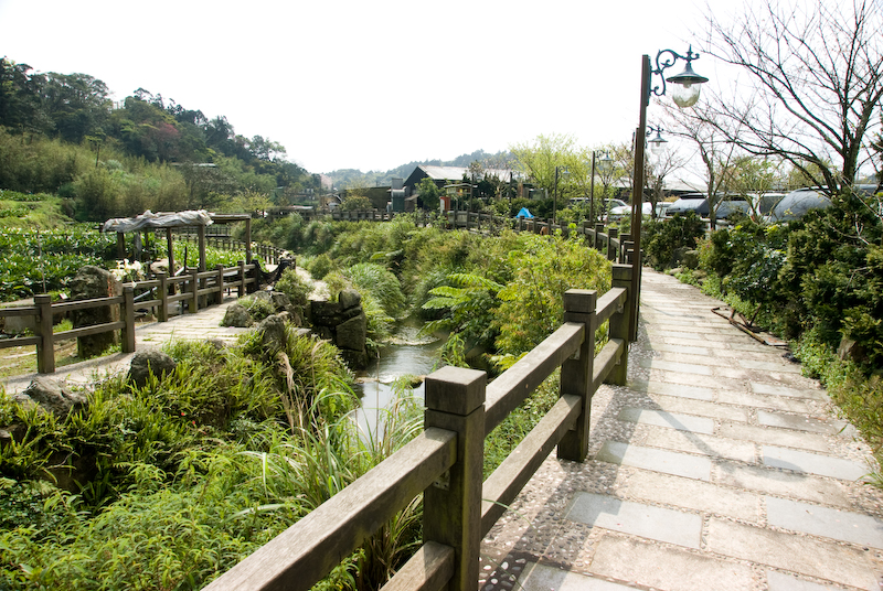 陽明山系列-竹子湖