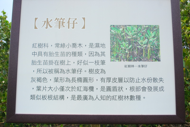 永安濕地自然公園
