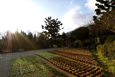 陽明山系列-陽明公園