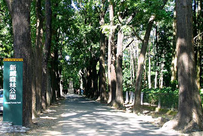 新威森林公園