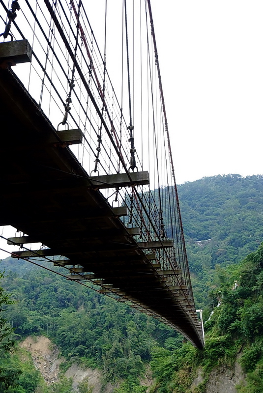 阿里山系列-天長地久吊橋