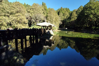 阿里山系列-姐妹潭步道