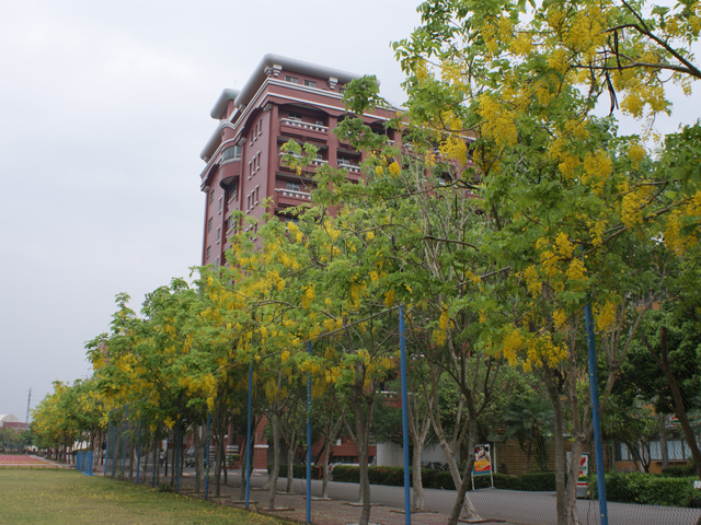 台湾远东科技大学图片