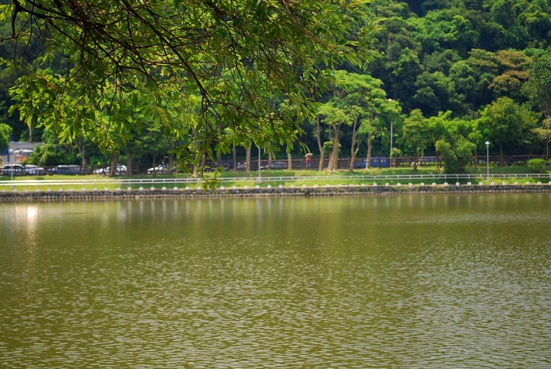 台北碧湖公園
