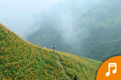 太麻里金針山♬