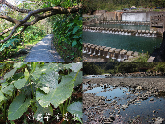 礁溪 五旗峰01 礁溪01