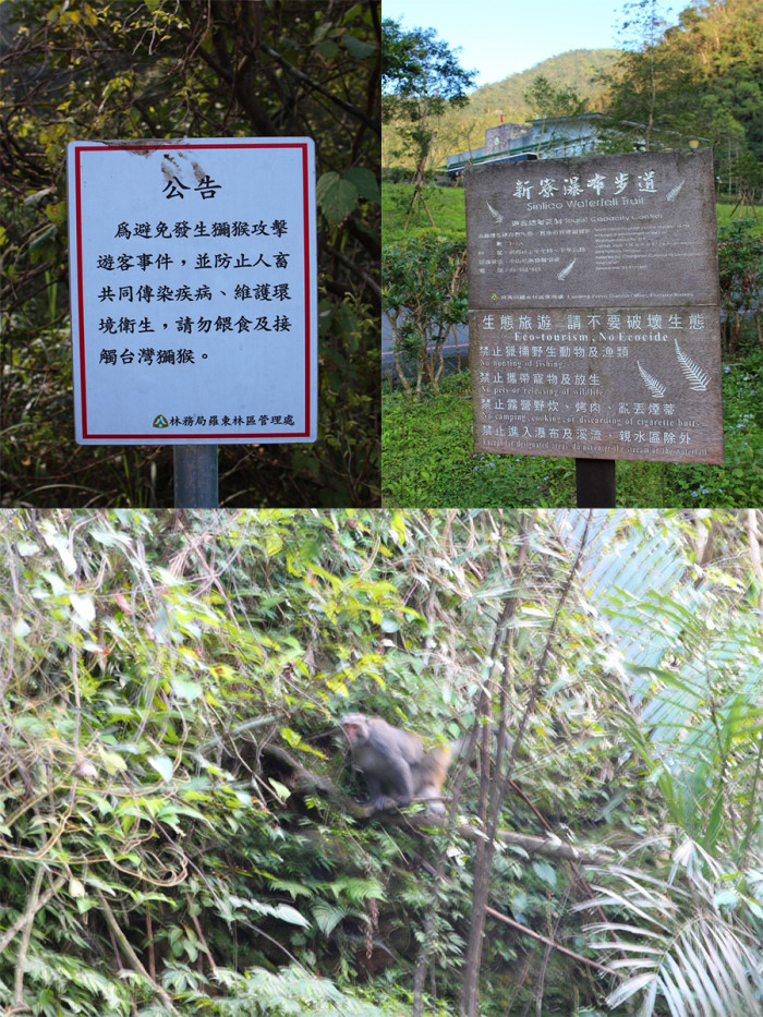 新寮瀑布 宜蘭 冬山河 冬山鄉 必來 景點 行程 礁溪19