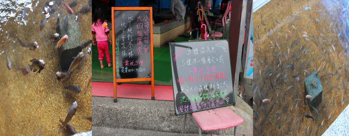 宜蘭 礁溪 湯圍溝公園 必來 溫泉魚 咬腳皮 湯圍溝2