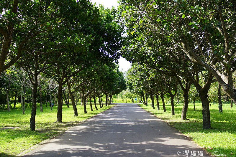 台東 森林公園內