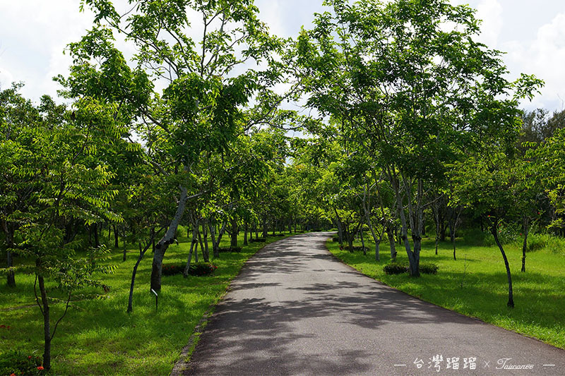 台東 森林公園步道