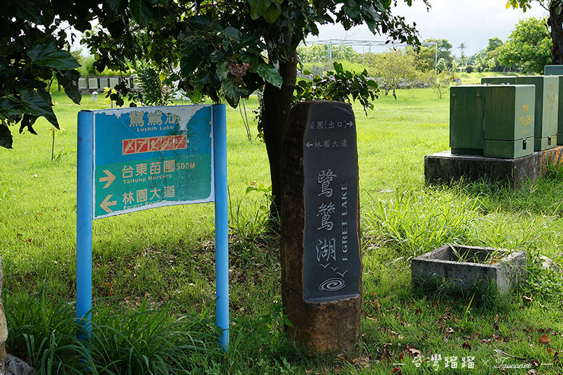 台東 鷺鷥湖