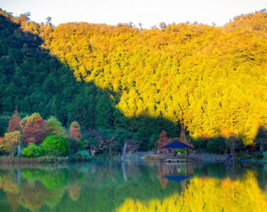 【宜蘭│ 森呼吸】力麗馬告生態園區。宛如臺灣阿爾卑斯山的森林美地！